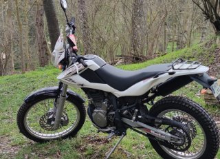 Beta ALP 4.0 350cc