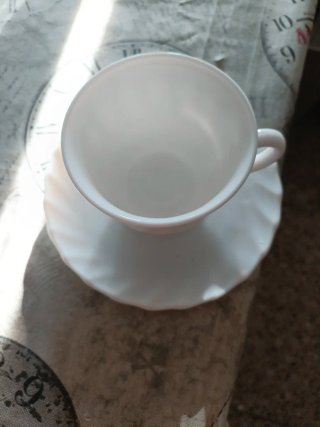 Taza de Almuerzo con Plato