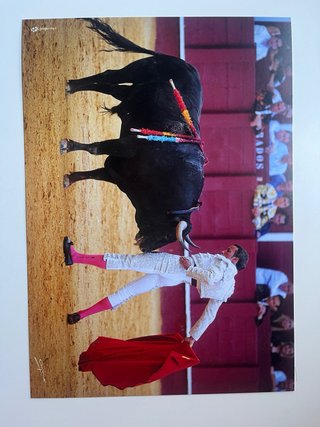 Póster Torero Firmado