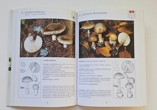 El libro de CÓMO RECONOCER LAS SETAS