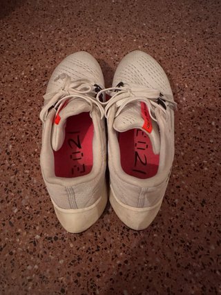 Nike Air Zoom Pegasus 38 Rawdacious