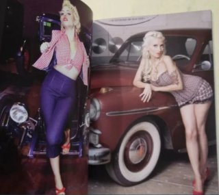 PIN UPS RULE (LIBRO)