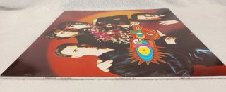 Vinilo LP Olé Olé - Al Descubierto (1992) NM / NM