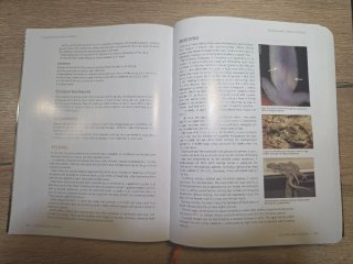 A Guide to Australian Lizards in Captivity