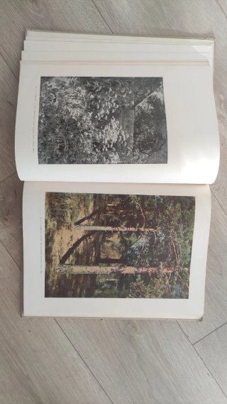 Pintura paisajística rusa, 1963