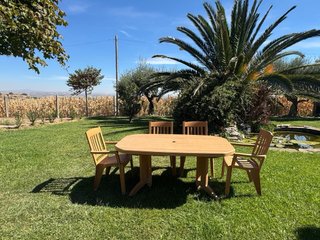 Conjunto jardín Grosfillex: Mesa y 8 sillones