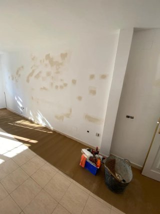Servicio de Pintura Profesional