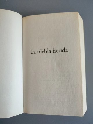 LA NIEBLA HERIDA