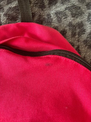 Mochila Eastpak Rosa