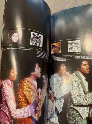 Michael Jackson: The Ultimate Collection (2004)