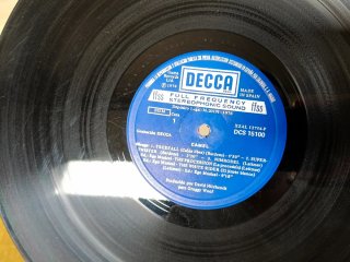 Lote 2 Vinilos: Camel y Santana SIN PORTADA (LEER)