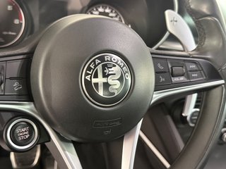 Alfa Romeo Stelvio 2.2 Diésel 132kW (180CV) Stelvio RWD