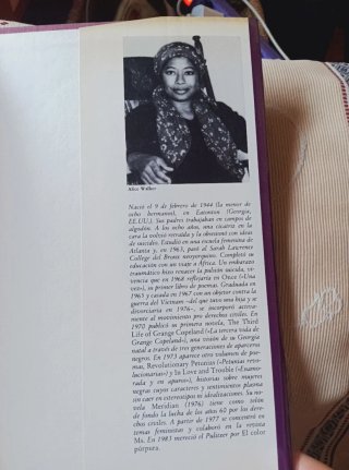 El color púrpura