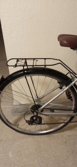 Bicicleta Urbana Plata con Cesta