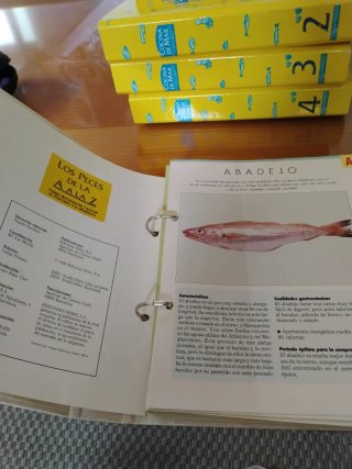 Cocina de mar . Para cocinar todo tipo de pescado.