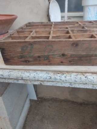 Cascos de cerveza el gavilán