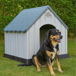 Caseta para Perro