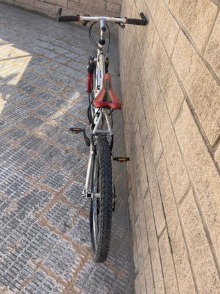 Bicicleta de Montaña BTT Plateada