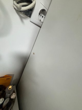 Armario Pax Bergsbo Ikea Blanco