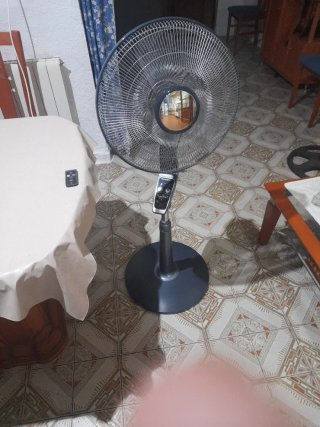 Ventilador Rowenta Negro/Plateado