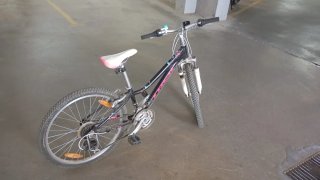 Bicicleta Trek para Niña