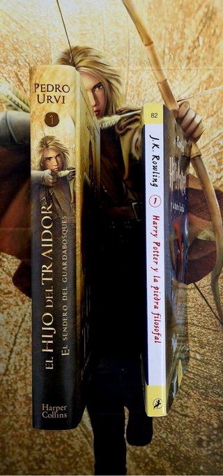 Pack 2 libros: El Hijo del Traidor + Harry Potter