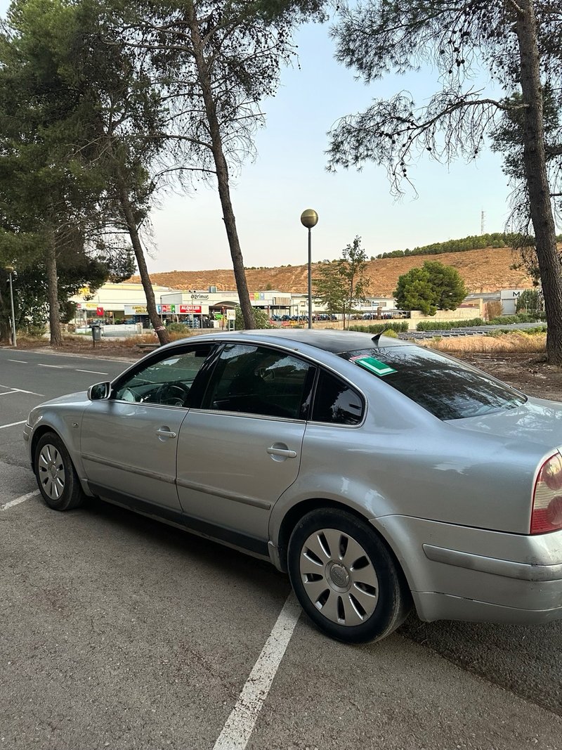 Volkswagen Passat 2001, foto 6