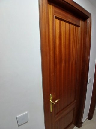 Vendo puerta macizs