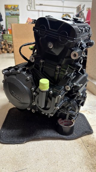 Motor BMW F900R