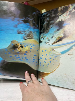National Geographic El maravilloso mundo de los