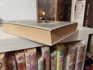 Libro sentido