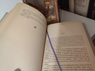 Libro sentido