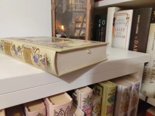 Libro caballos