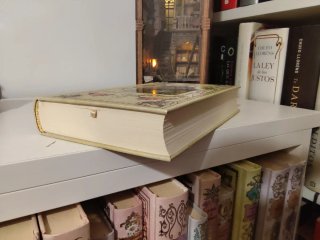 Libro caballos