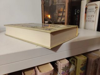 Libro caballos