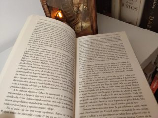 Libro caballos