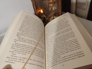 Libro caballos