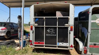 Remolque caballos iFor Williams 5 plazas 3500