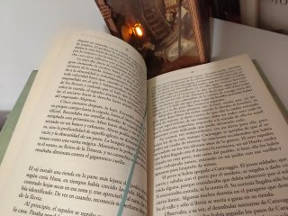 Libro paciente