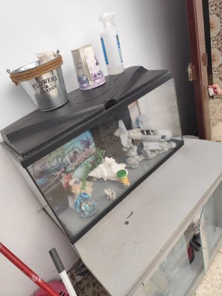 Acuario con Decoración