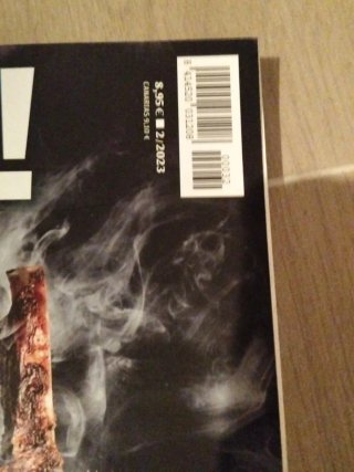 Dos revistas BEEF