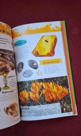 El gran libro de la naturaleza