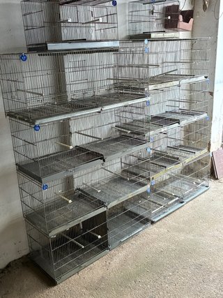 Jaulones de metro para aves