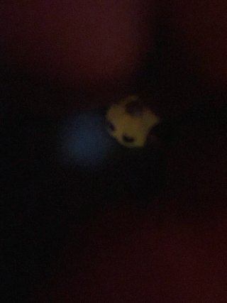 Charm Calabaza Halloween