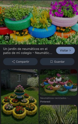 Regalo Neumáticos usados
