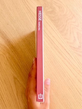 Siddhartha – Hermann Hesse. Edición Debolsillo C