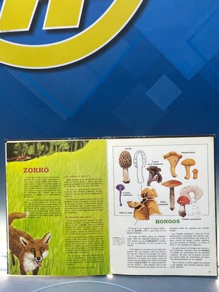 libro, Los secretos del bosque