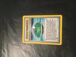 Ecopalestra 84/111 Neo Genesis 1ª Ed.