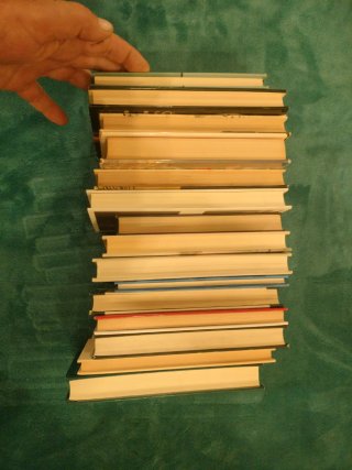Lote de 15 libros en formato bolsillo y tapa dura