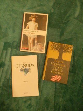 Lote de 15 libros en formato bolsillo y tapa dura